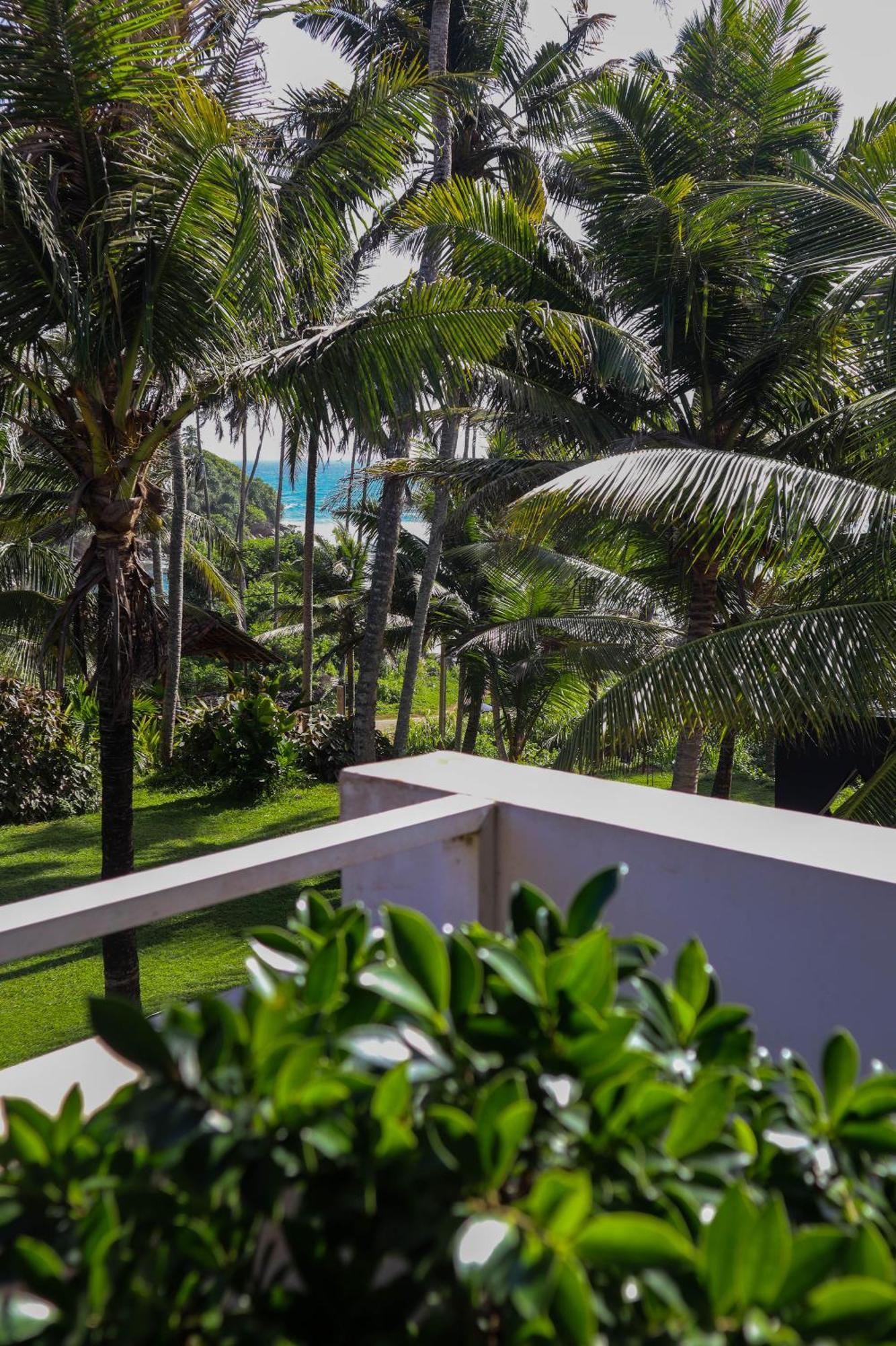 Singhe House Hotell Dikwella Eksteriør bilde