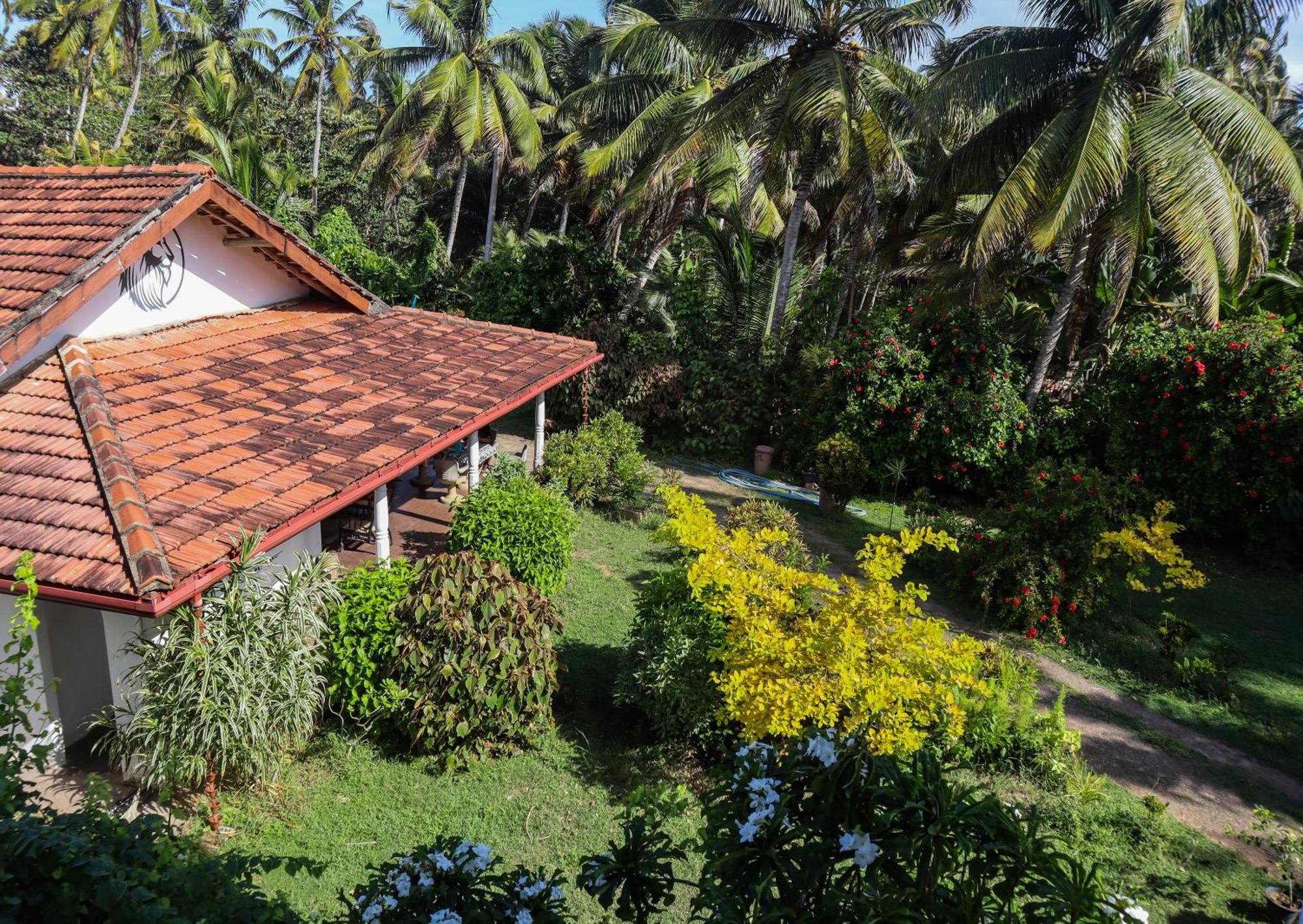 Singhe House Hotell Dikwella Eksteriør bilde