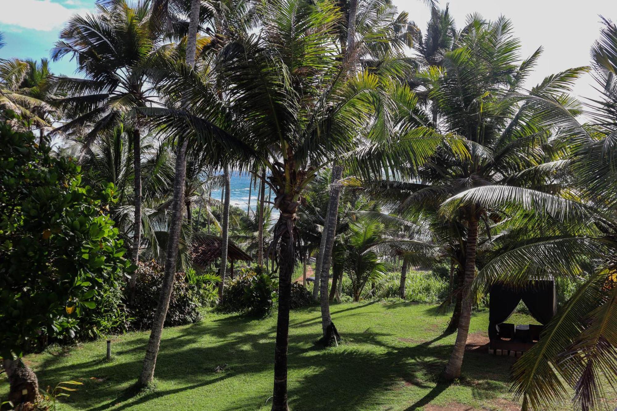Singhe House Hotell Dikwella Eksteriør bilde