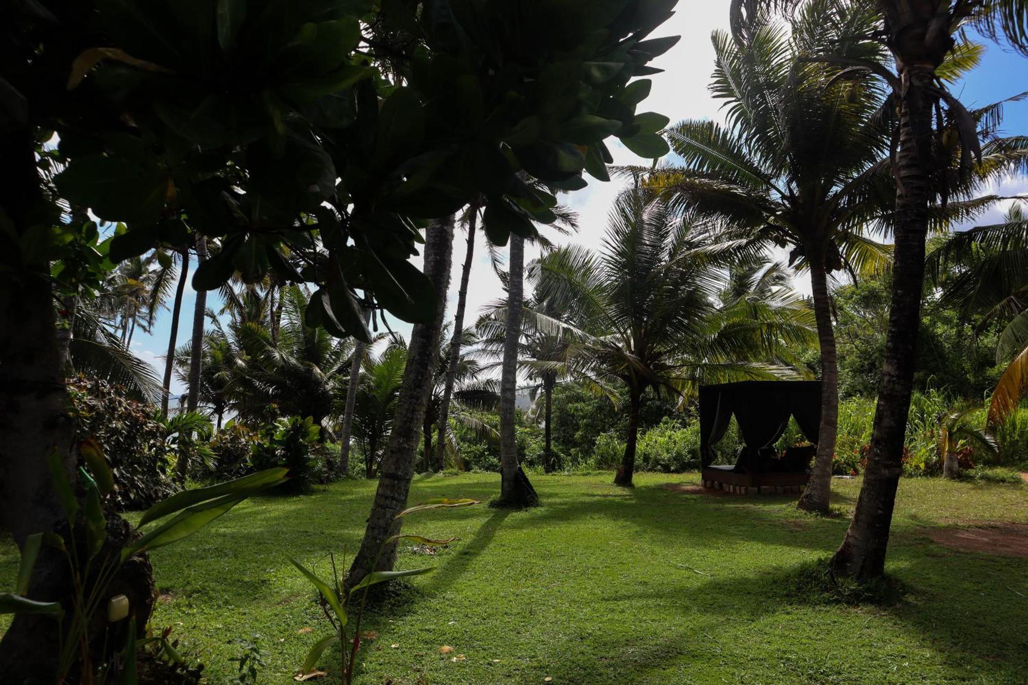 Singhe House Hotell Dikwella Eksteriør bilde