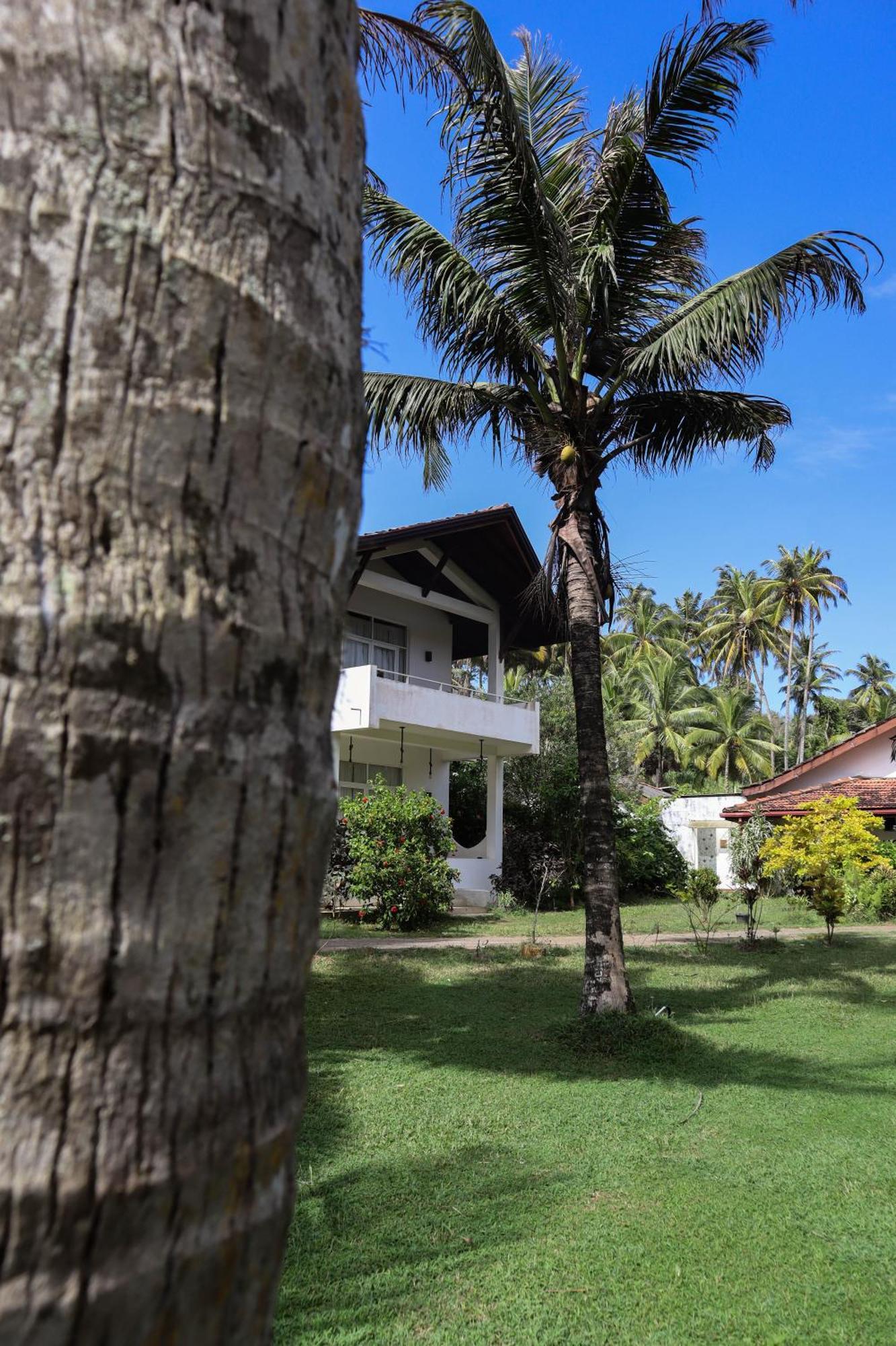 Singhe House Hotell Dikwella Eksteriør bilde